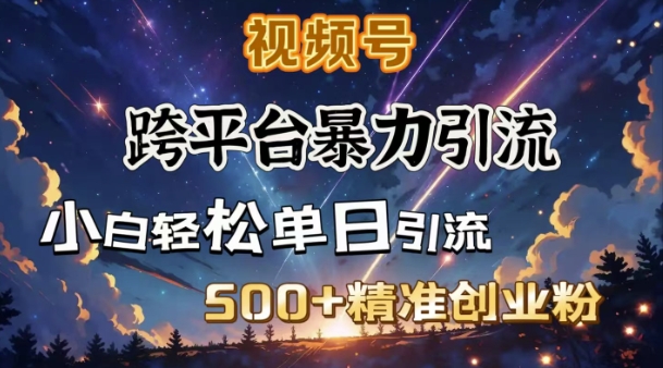 跨平台暴力引流，私域完美闭环，日引500+精准创业粉-AI学习资源网