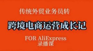 跨境电商速卖通运营课,运营方法论+后台实操,逻辑清晰-AI学习资源网