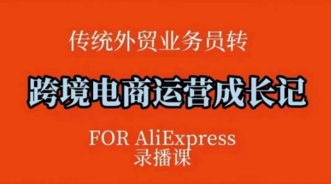 跨境电商速卖通运营课，​运营方法论+后台实操，逻辑清晰-AI学习资源网