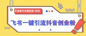 飞书一键引流抖音创业粉,不违规可 无限私信+评论-AI学习资源网