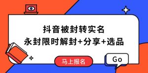 抖音被封转实名攻略,永久封禁也能限时解封,分享解封后高效选品技巧-AI学习资源网