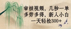 审核视频,几秒一单,多劳多得,新人小白一天轻松300+-AI学习资源网