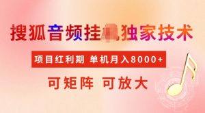 首发搜狐音频挂JI,项目红利期,可矩阵可放大,稳定月入5k【揭秘】-AI学习资源网