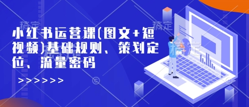 小红书运营课(图文+短视频)基础规则、策划定位、流量密码-AI学习资源网