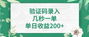 验证码录入,几秒一单,单日收益200+-AI学习资源网