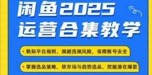 2025闲鱼电商运营全集,2025最新咸鱼玩法-AI学习资源网