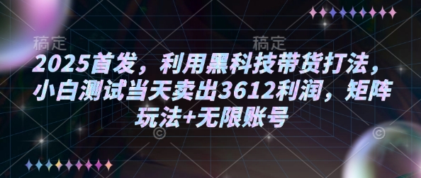 2025首发，利用黑科技带货打法，小白测试当天卖出3612利润，矩阵玩法+无限账号【揭秘】-AI学习资源网