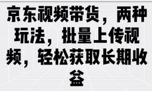 京东视频带货,两种玩法,批量上传视频,轻松获取长期收益-AI学习资源网