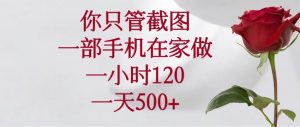 你只管截图,一部手机在家做,一小时120,一天500+-AI学习资源网