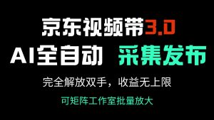 京东视频带货3.0,Ai全自动采集+自动发布,完全解放双手,收入无上限…-AI学习资源网