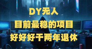 DY无人,目前最稳的项目,矩阵放大边旅游边赚钱,好好好干两年退休-AI学习资源网