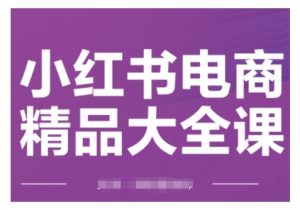 小红书电商精品大全课,快速掌握小红书运营技巧,实现精准引流与爆单目标,轻松玩转小红书电商(更新2月)-AI学习资源网