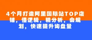 4个月打造阿里国际站TOP店铺,懂逻辑,精分析,会规划,快速提升询盘量-AI学习资源网