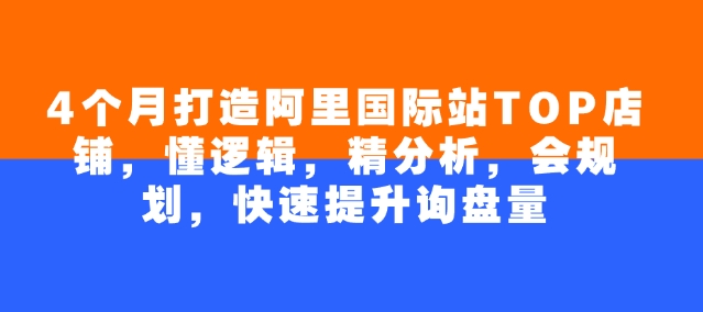 4个月打造阿里国际站TOP店铺，懂逻辑，精分析，会规划，快速提升询盘量-AI学习资源网