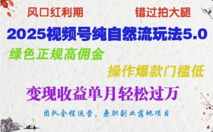 2025视频号纯自然流玩法5.0,绿色正规高佣金,操作爆款门槛低,变现收益单月轻松过万-AI学习资源网