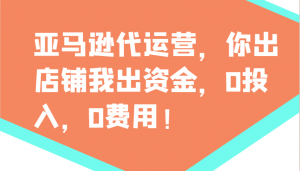 亚马逊代运营,你出店铺我出资金,0投入,0费用,无责任每天300分红,赢亏我承担-AI学习资源网