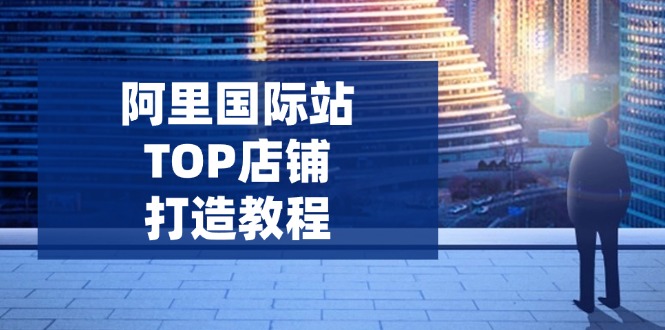 阿里国际站TOP店铺打造教程：涵盖平台到高阶，解决运营难题，提升询盘-AI学习资源网