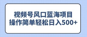 视频号风口蓝海项目,操作简单轻松日入500+-AI学习资源网