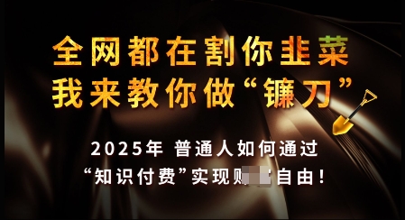 知识付费如何做到月入过W+，2025我来教你做“镰刀”【揭秘】-AI学习资源网