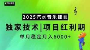 2025汽水音乐挂JI,独家技术,项目红利期,稳定月入5k【揭秘】-AI学习资源网