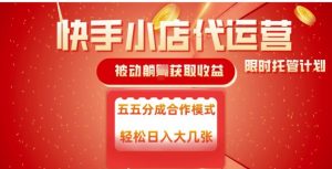 快手小店代运营,被动躺Z收益,收益五五分,单日稳定变现五张【揭秘】-AI学习资源网