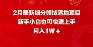 2月最新细分领域落地项目,新手小白也可快速上手,月入1W-AI学习资源网