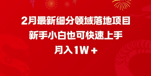 2月最新细分领域落地项目，新手小白也可快速上手，月入1W-AI学习资源网