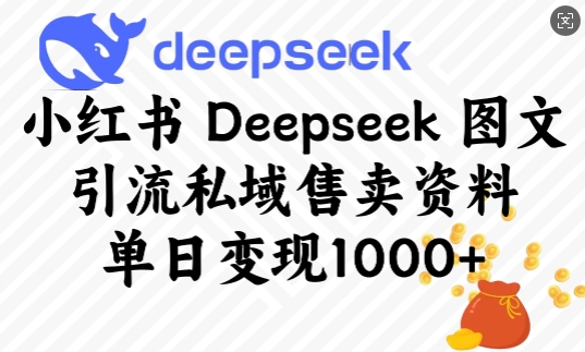 小红书Deepseek图文引流私域售卖资料，单日变现多张-AI学习资源网