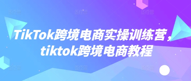 TikTok跨境电商实操训练营，tiktok跨境电商教程-AI学习资源网