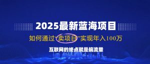 2025最新蓝海项目,零门槛轻松复制,月入10万+,新手也能操作!-AI学习资源网