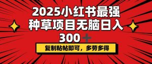 2025小红书最强种草项目,无脑日入300+,复制粘帖即可,多劳多得-AI学习资源网