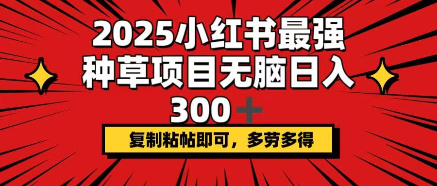 2025小红书最强种草项目，无脑日入300+，复制粘帖即可，多劳多得-AI学习资源网