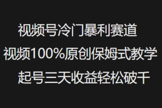 视频号冷门暴利赛道视频100%原创保姆式教学起号三天收益轻松破千-AI学习资源网