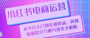 小红书电商运营:从平台入门到专业选品,再到流量提升与账号优化全解析-AI学习资源网
