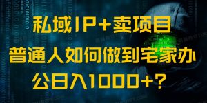 私域IP+卖项目,普通人如何做到宅家办公实现日入1000+-AI学习资源网