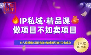 2025年“IP私域·密训精品课”,日赚3000+小白避坑年赚百万,暴力引流…-AI学习资源网