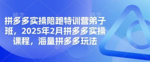 拼多多实操陪跑特训营弟子班,2025年2月拼多多实操课程,海量拼多多玩法-AI学习资源网