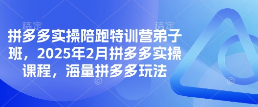 拼多多实操陪跑特训营弟子班，2025年2月拼多多实操课程，海量拼多多玩法-AI学习资源网