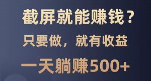 截屏就能赚钱?0门槛,只要做,100%有收益的一个项目,一天躺赚500+-AI学习资源网