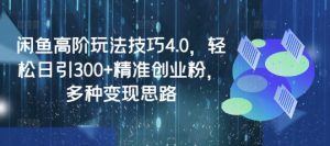 闲鱼高阶玩法技巧4.0,轻松日引300+精准创业粉,多种变现思路-AI学习资源网