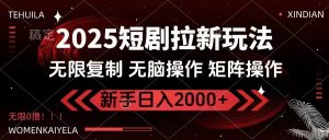 2025短剧拉新玩法,无需注册登录,无限0撸,无脑批量操作日入2000+-AI学习资源网