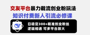 交友平台暴力截流创业粉玩法,知识付费新人引流必修课,日稳定300+精准创业粉丝,逻辑相通可多平台放大-AI学习资源网
