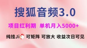 搜狐音频挂ji3.0.可矩阵可放大,独家技术,稳定月入5000+【揭秘】-AI学习资源网