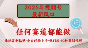 2025年视频号新风口,低门槛只需要无脑执行-AI学习资源网