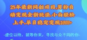 25年最新网创项目,男粉自动变现全新玩法,小白轻松上手,单日稳定变现多张【揭秘】-AI学习资源网