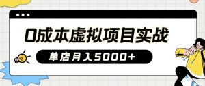 0成本虚拟项目实战手把手教你落地,单店月入5k-AI学习资源网