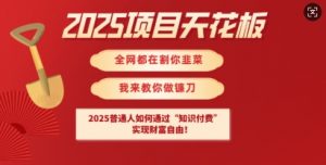 2025项目天花板普通人如何通过知识付费,实现财F自由【揭秘】-AI学习资源网