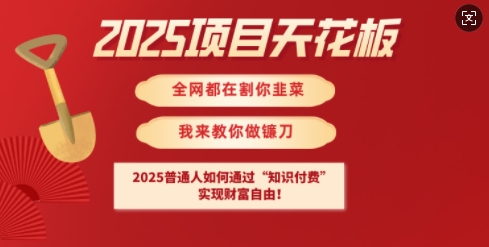 2025项目天花板普通人如何通过知识付费，实现财F自由【揭秘】-AI学习资源网