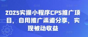 2025实操小程序CPS推广项目,自用推广渠道分享,实现被动收益-AI学习资源网