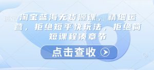 淘宝蓝海无货源课,精细运营,拒绝短平快玩法,拒绝简短课程凑章节-AI学习资源网